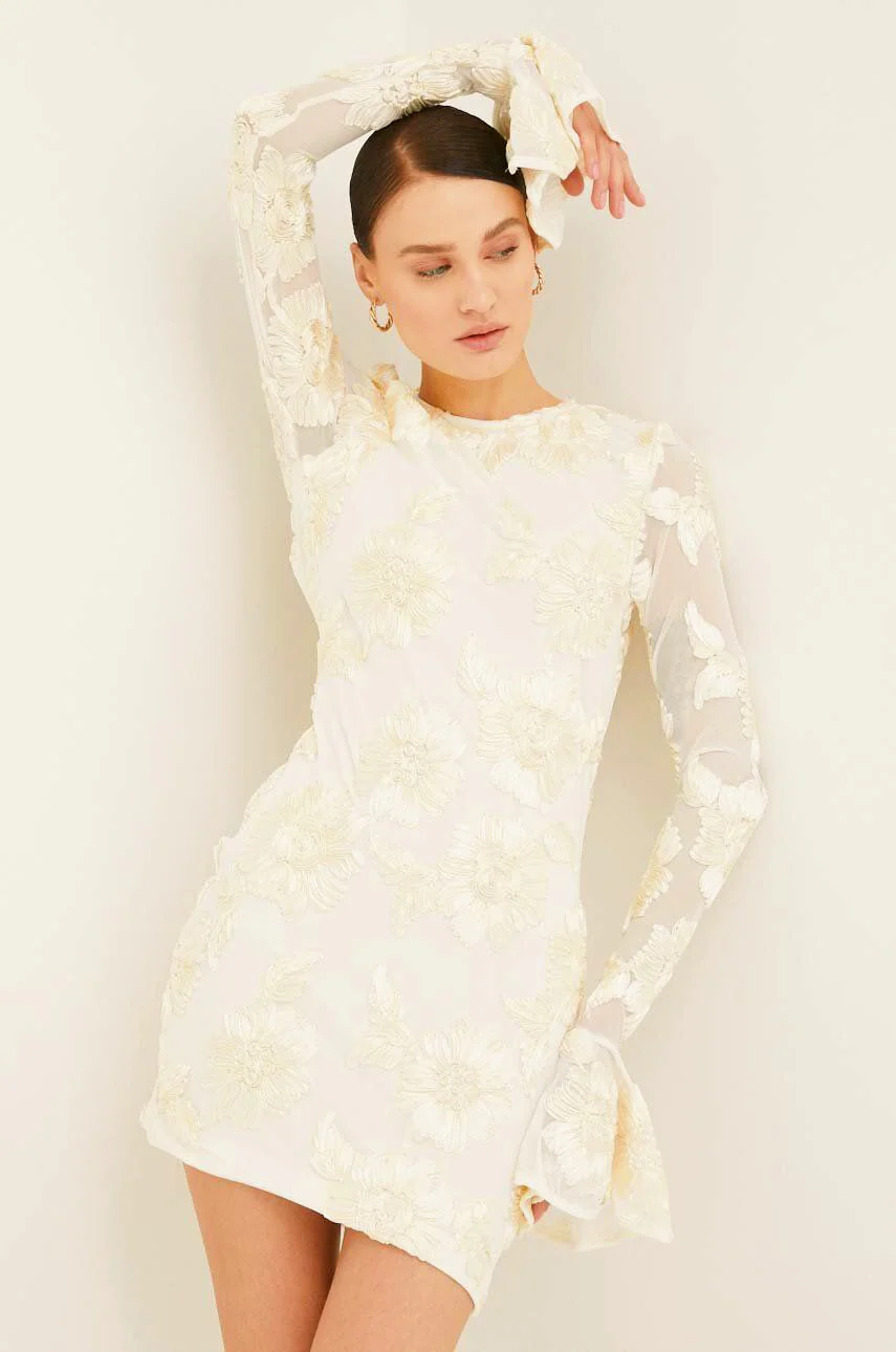 Norma® | Backless Embroidered Mesh Mini Dress - Image 9