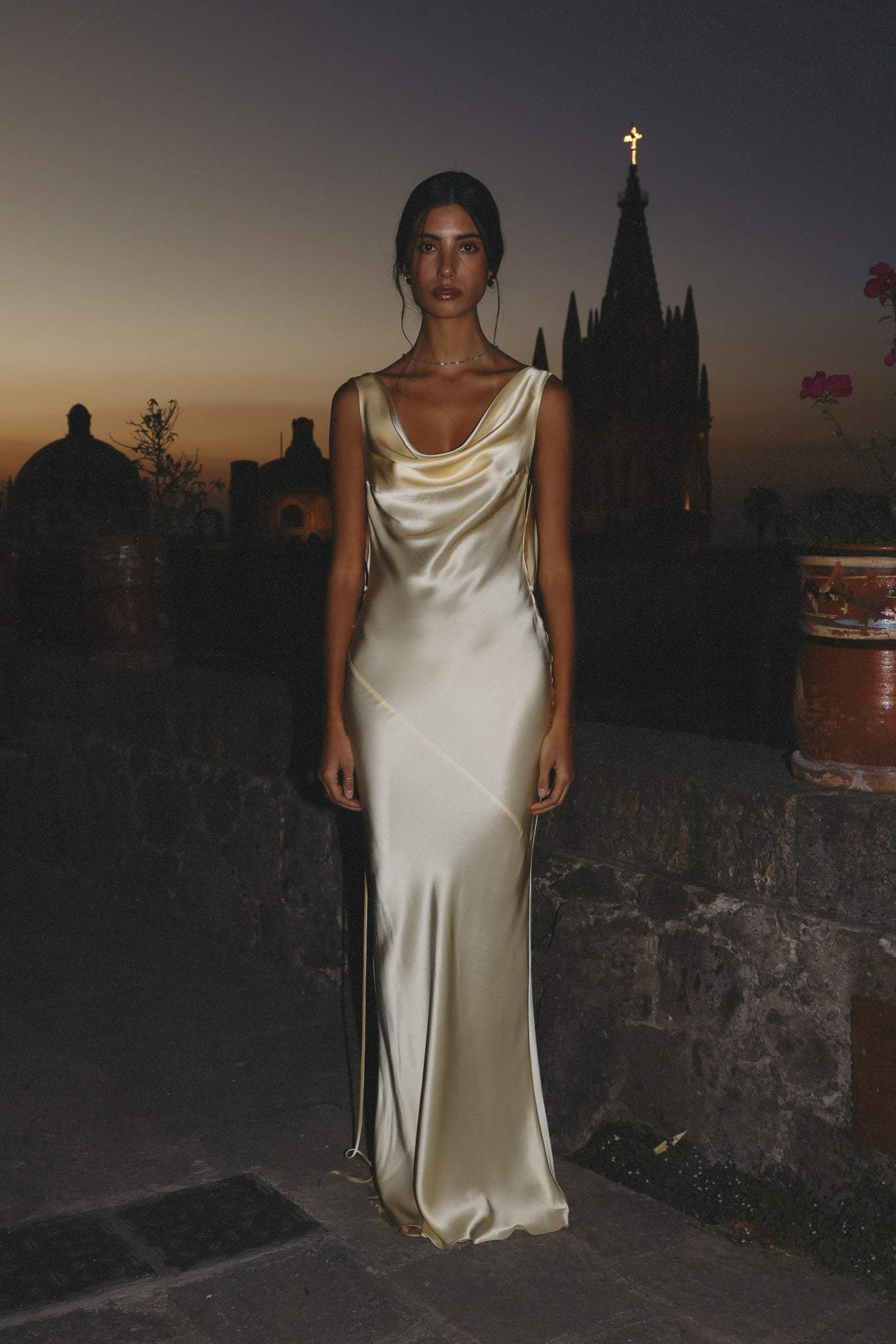 Tamara® | Cowlies Backless Satin Maxi Dress - Image 6